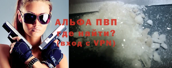 СК Белокуриха