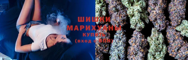 СК Белокуриха